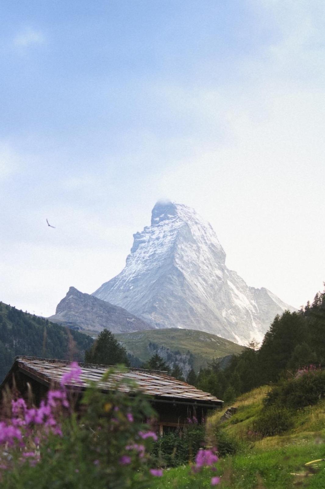 Studio Wolli - Stylish & Central - Steps To Matterhorn Gondola Zermatt Eksteriør billede
